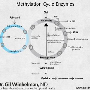 What you Need to Know about the Methylation Cycle-podcast